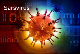 Sars virus